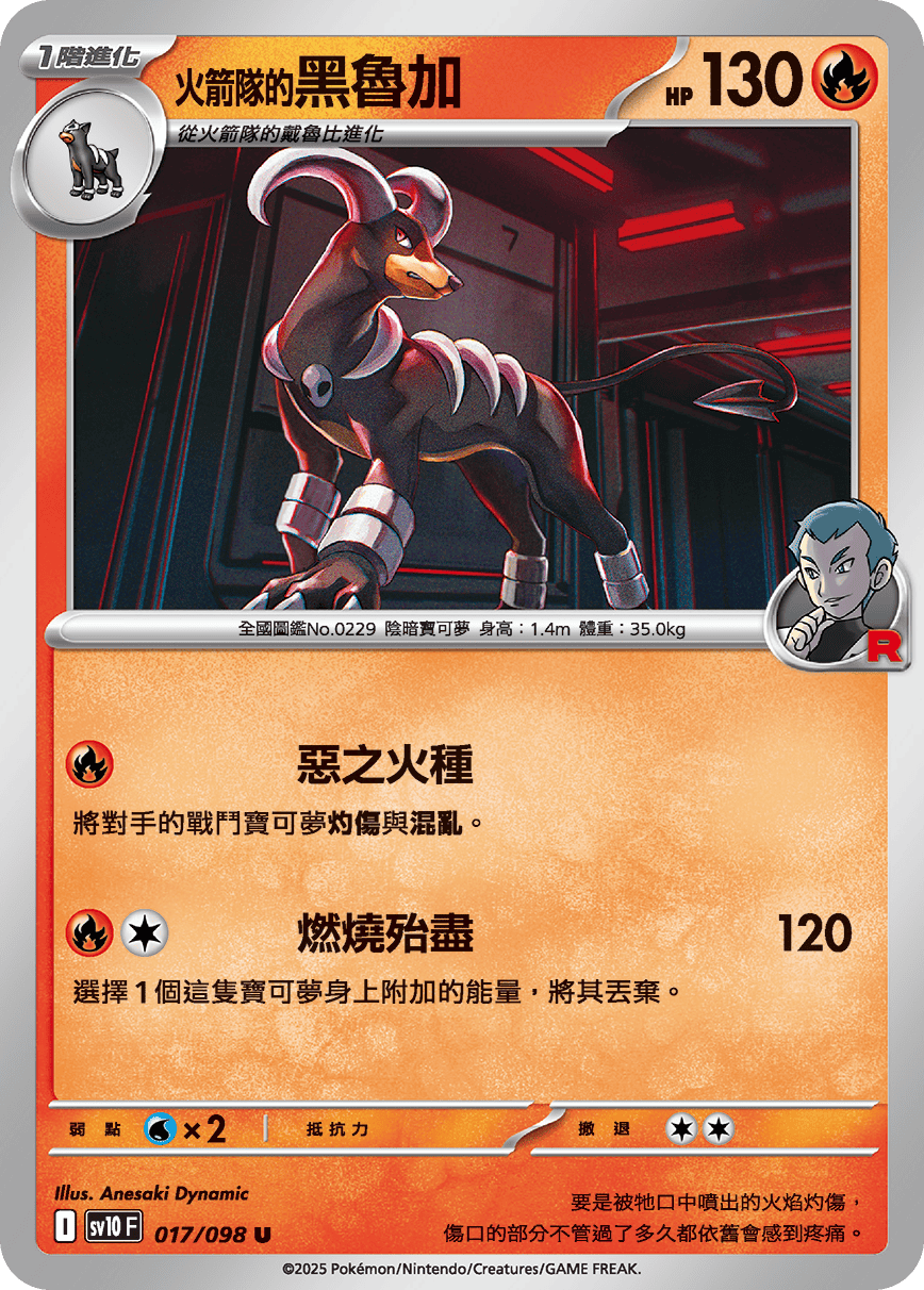 Team Rocket's Houndoom #017
