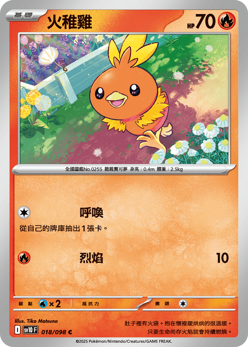 Torchic #018