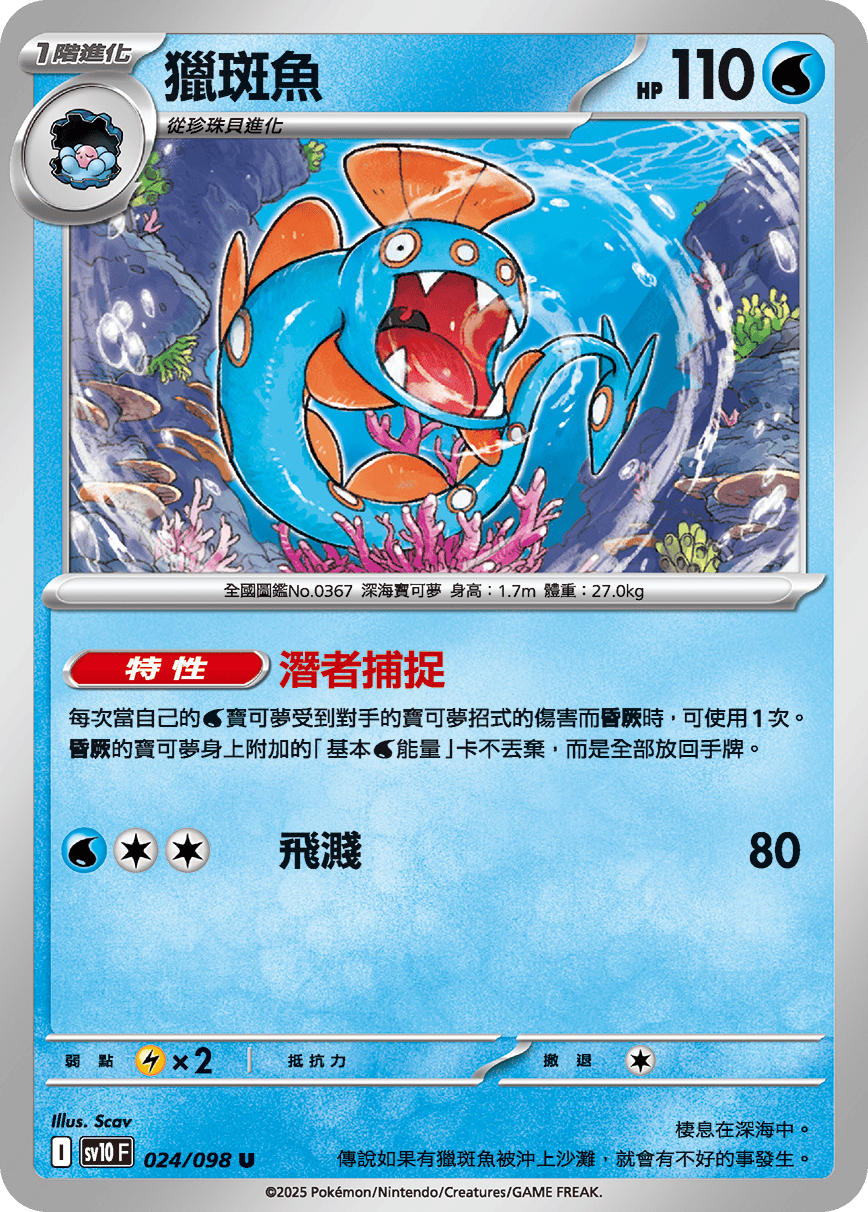 Huntail #024