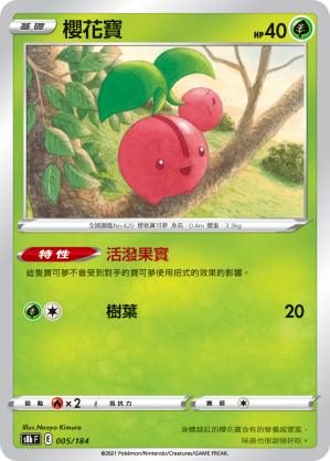 Cherubi #005