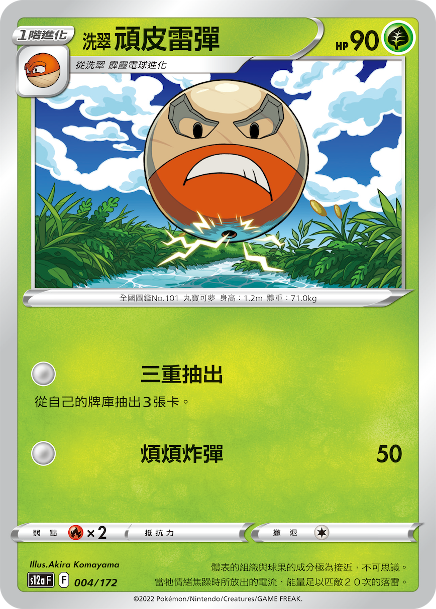 Electrode #004