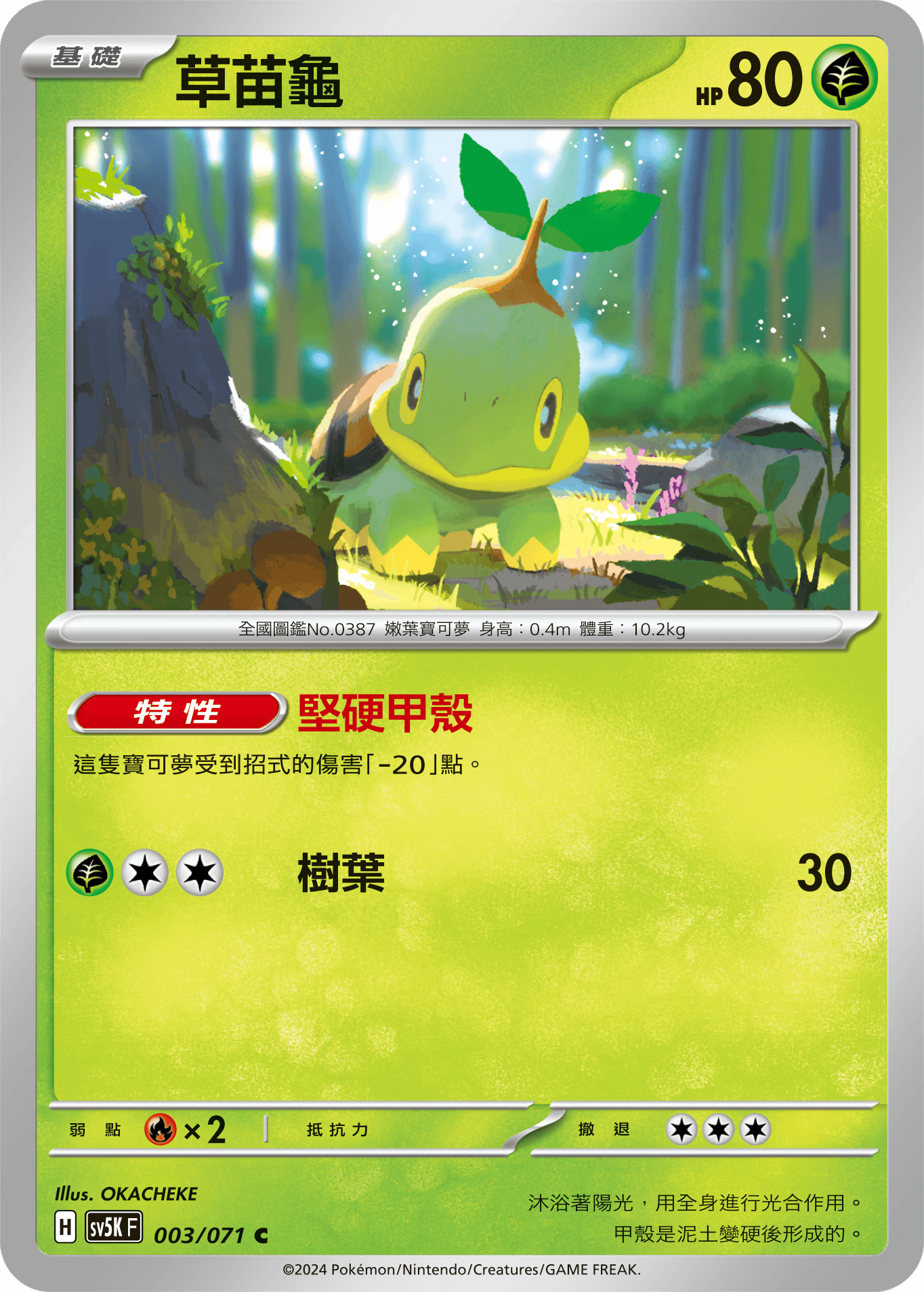 Turtwig #003