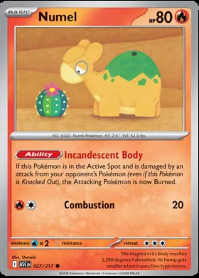 Numel #27