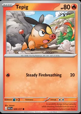 Tepig #29