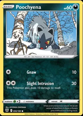 Poochyena #95