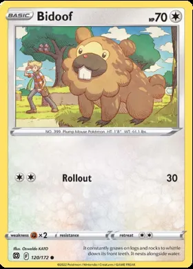 Bidoof #120