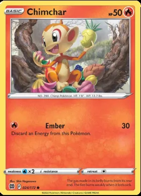 Chimchar #24
