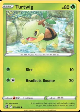 Turtwig #6