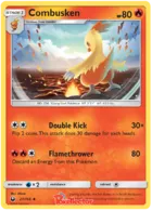Combusken #27