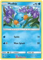 Mudkip #33