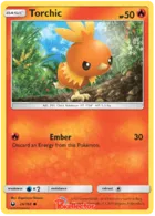 Torchic #25