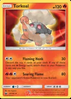 Torkoal #29