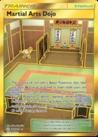 Dojo di Arti Marziali #268