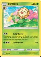 Sunflora #8