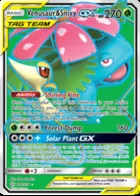 Venusaur e Snivy GX #210