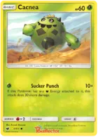 Cacnea #5