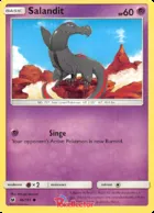 Salandit #46