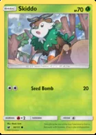 Skiddo #10