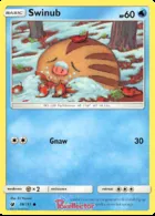 Swinub #19