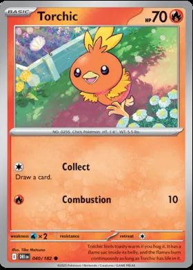 Torchic #40