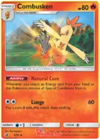 Combusken #5