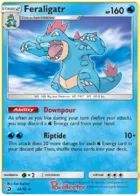 Feraligatr #24