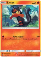 Litten #12
