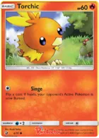 Torchic #4