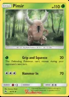 Pinsir #4