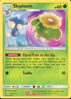Skiploom #13