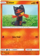 Litten #15