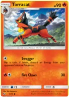 Torracat #16