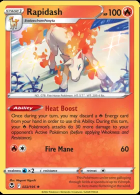 Rapidash #22
