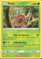 Pinsir #9