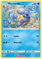 Wartortle #24