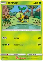 Turtwig #7