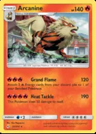 Arcanine #22